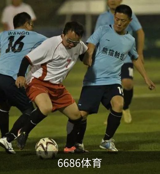 6686体育简介